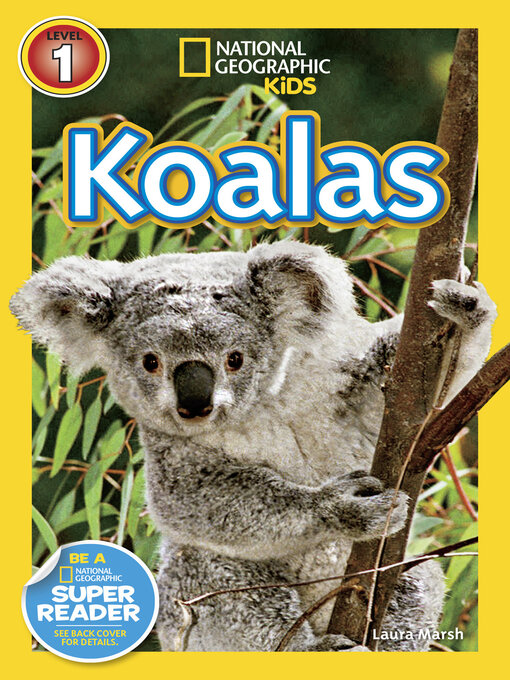 Title details for Koalas (National Geographic Kids Readers, Level 1) by Laura Marsh - Wait list